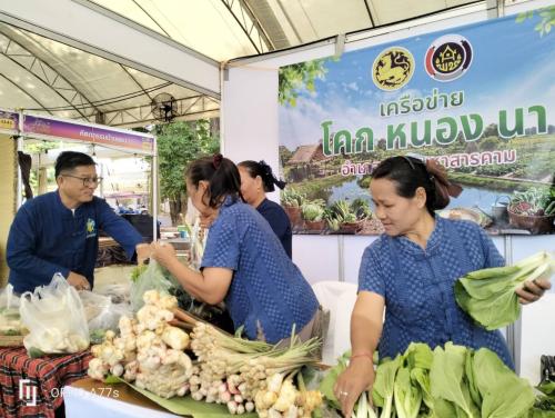 จำหน่ายผลผลิตจาก โคก หนอง นา